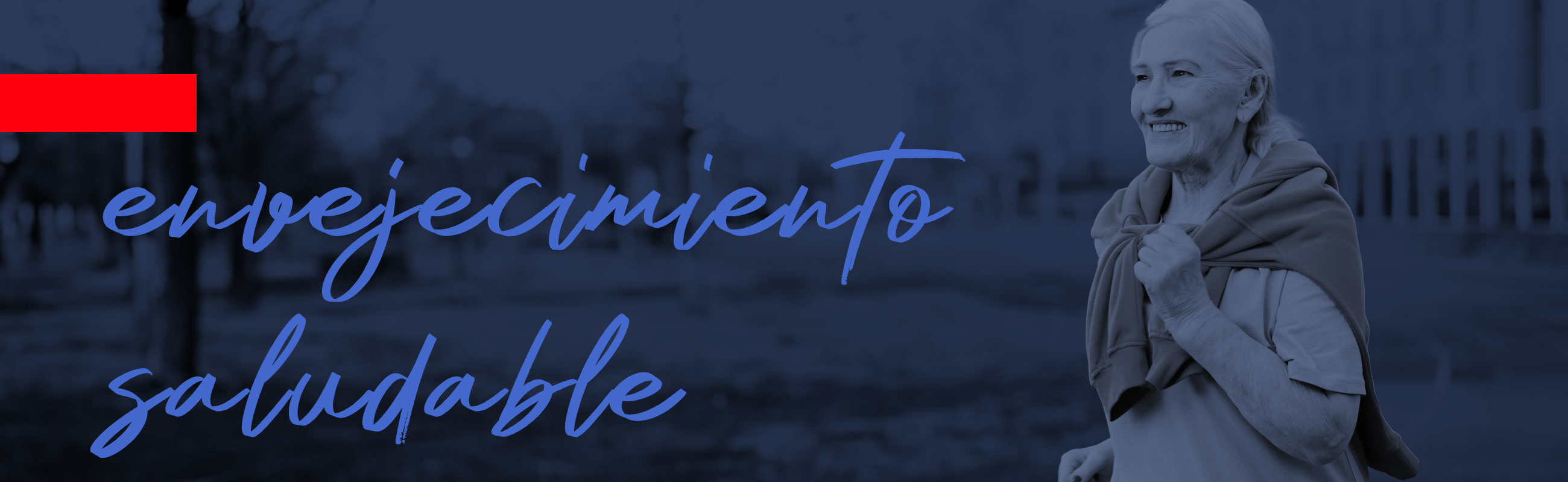  Los ejercicios para adultos mayores son clave para un envejecimiento saludable.