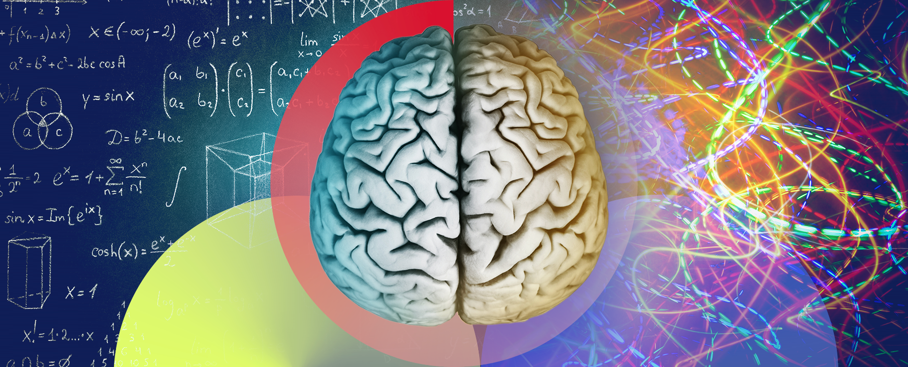Procesamiento de información en el cerebro