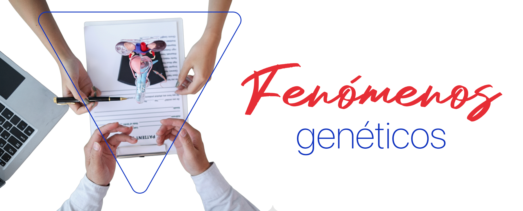 Los factores de riesgo de cancer de testiculo están relacionados con fenómenos genéticos en su mayoría