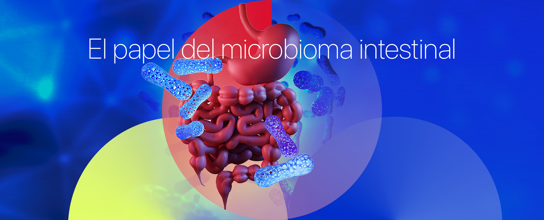 El papel del microbioma intestinal