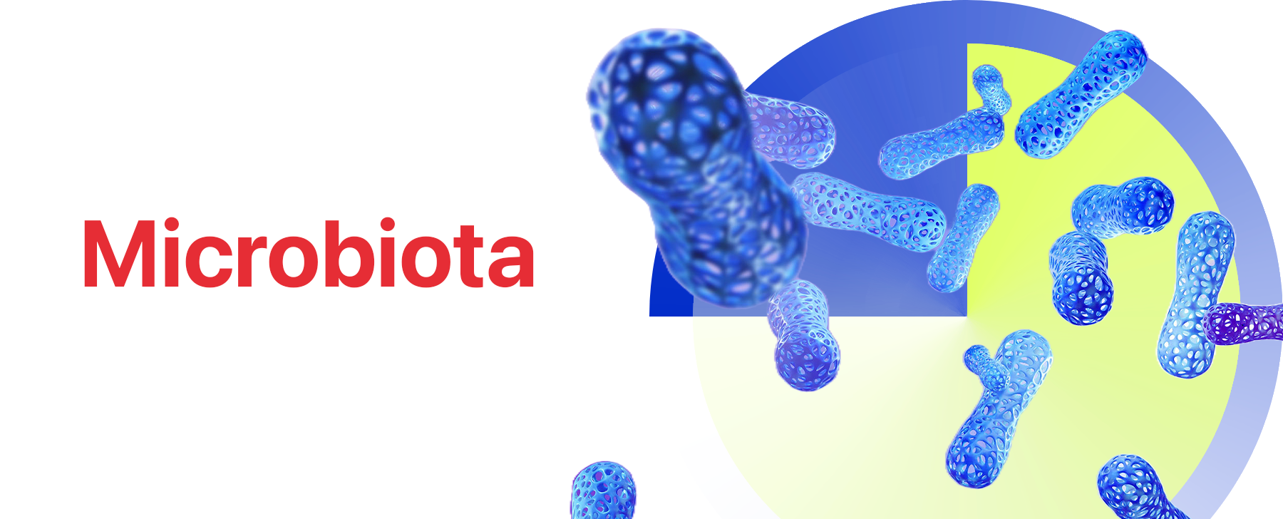 La microbiota y su papel en el desarrollo de enfermedades como el cáncer de mama