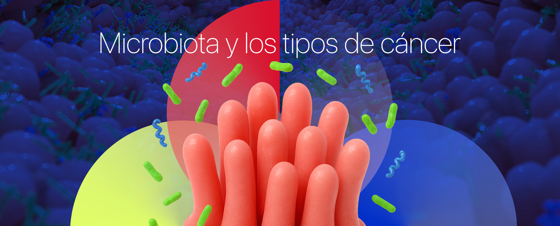 Microbiota y los tipos de cáncer