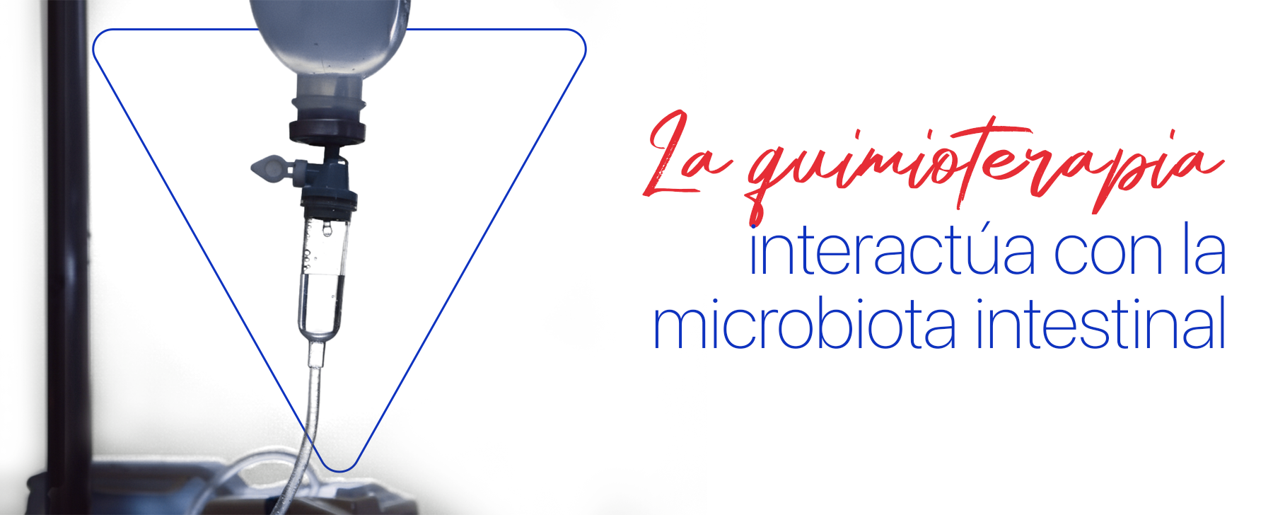 La quimioterapia interactúa con la microbiota intestinal